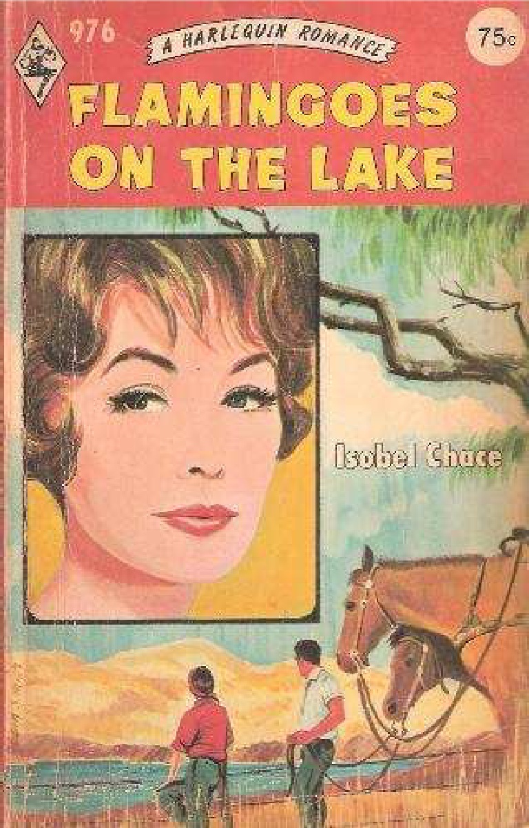FLAMINGOES LAKE Isobel Chace