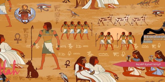 أشهر الرياضات في مصر